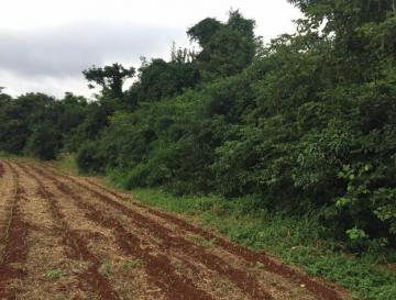 imagem 1 - Rural - Chácara sem Casa imagem 1 - Rural - Chácara sem Casa