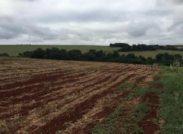 Alugar Rural / Chácara sem Casa em Toledo. apenas R$ 450.000,00