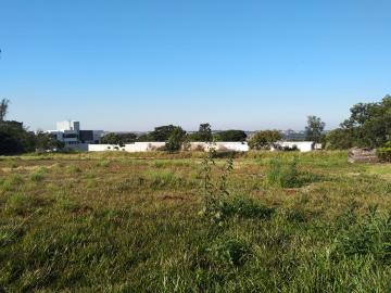 imagem 3 - Terreno - Lote Urbano imagem 3 - Terreno - Lote Urbano