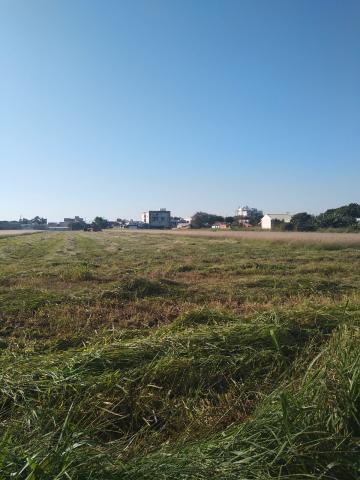 Toledo Jardim Gisela Terreno Venda R$11.000.000,00  Area do terreno 25773.00m2 
