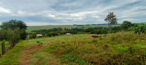 imagem 5 - Rural - Chácara com Casa imagem 5 - Rural - Chácara com Casa