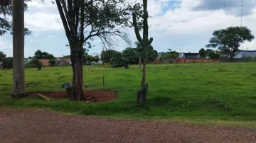 imagem 4 - Rural - Chácara sem Casa imagem 4 - Rural - Chácara sem Casa
