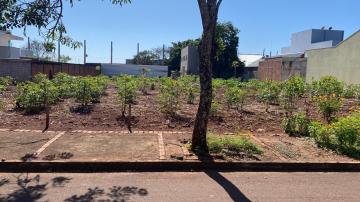 imagem 3 - Terreno - Lote Urbano imagem 3 - Terreno - Lote Urbano