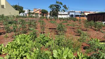 imagem 4 - Terreno - Lote Urbano imagem 4 - Terreno - Lote Urbano