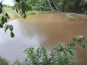 imagem 2 - Rural - Chácara sem Casa imagem 2 - Rural - Chácara sem Casa
