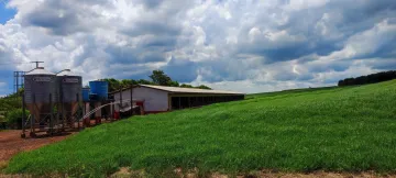 Alugar Rural / Sítio em Toledo. apenas R$ 2.500.000,00