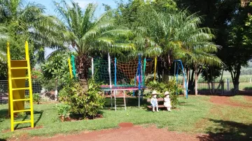 imagem 5 - Sítio em Concórdia do Oeste - Equipado e com vacas de leite! imagem 5 - Sítio em Concórdia do Oeste - Equipado e com vacas de leite!