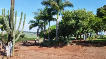 imagem 4 - Sítio em Concórdia do Oeste - Equipado e com vacas de leite! imagem 4 - Sítio em Concórdia do Oeste - Equipado e com vacas de leite!