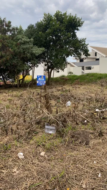 imagem 1 - Terreno - Lote Urbano imagem 1 - Terreno - Lote Urbano