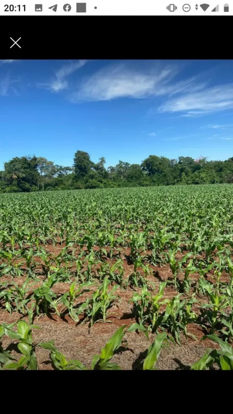 imagem 5 - Rural - Chácara sem Casa imagem 5 - Rural - Chácara sem Casa
