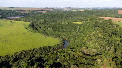 imagem 5 - Terreno - Chácara imagem 5 - Terreno - Chácara