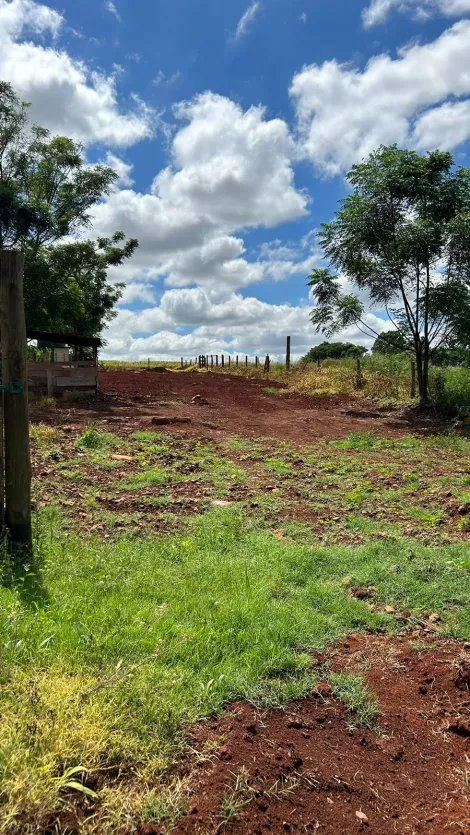 imagem 3 - Rural - Chácara com Casa imagem 3 - Rural - Chácara com Casa