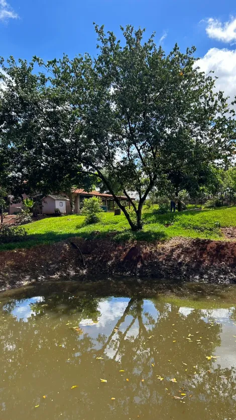 imagem 5 - Rural - Chácara com Casa imagem 5 - Rural - Chácara com Casa