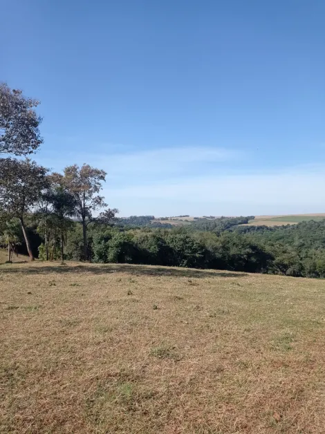 imagem 3 - Rural - Sítio imagem 3 - Rural - Sítio