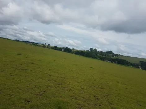 imagem 3 - Rural - Chácara sem Casa imagem 3 - Rural - Chácara sem Casa