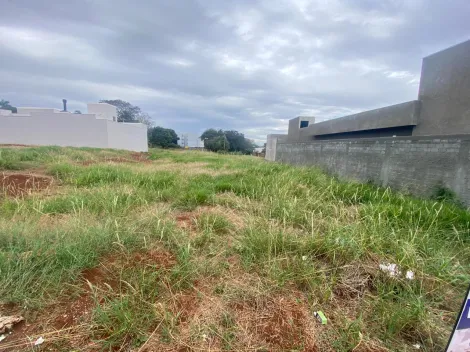 imagem 1 - Terreno - Lote Urbano imagem 1 - Terreno - Lote Urbano