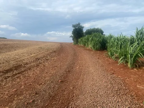 imagem 4 - Rural - Chácara sem Casa imagem 4 - Rural - Chácara sem Casa