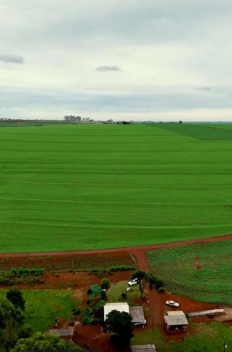 imagem 1 - Rural - Chácara com Casa imagem 1 - Rural - Chácara com Casa