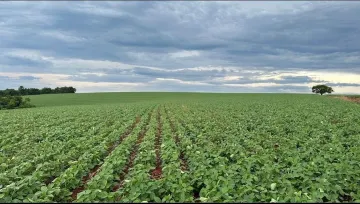 imagem 3 - Rural - Sítio imagem 3 - Rural - Sítio