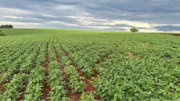 imagem 4 - Rural - Sítio imagem 4 - Rural - Sítio