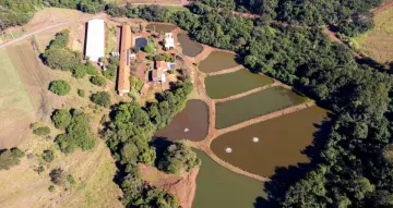 imagem 2 - Excelente Propriedade Rural Sitio com Casa imagem 2 - Excelente Propriedade Rural Sitio com Casa