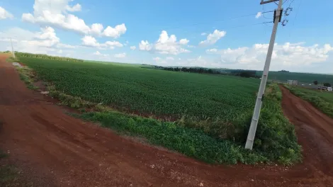 imagem 2 - Área Rural as margens da BR 467 - Ótima Localização para Barracões. imagem 2 - Área Rural as margens da BR 467 - Ótima Localização para Barracões.