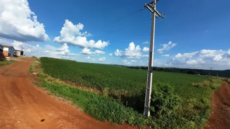 imagem 3 - Área Rural as margens da BR 467 - Ótima Localização para Barracões. imagem 3 - Área Rural as margens da BR 467 - Ótima Localização para Barracões.