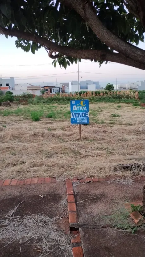 imagem 1 - Terreno - Lote Urbano imagem 1 - Terreno - Lote Urbano