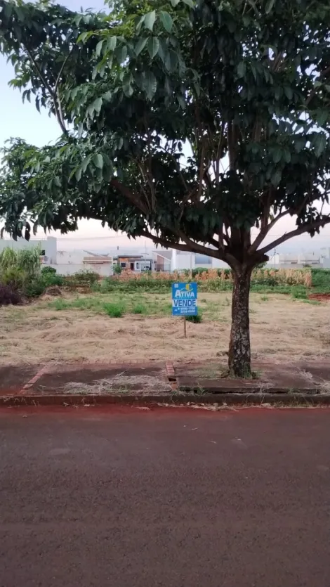imagem 2 - Terreno - Lote Urbano imagem 2 - Terreno - Lote Urbano