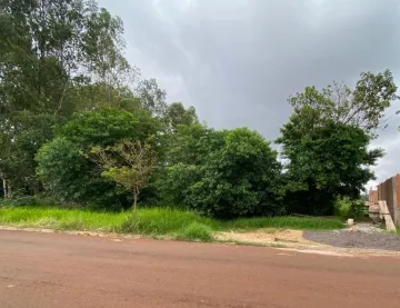 imagem 5 - CHÁCARA PARA LOTEAMENTO NO JARDIM SÃO FRANCISCO imagem 5 - CHÁCARA PARA LOTEAMENTO NO JARDIM SÃO FRANCISCO
