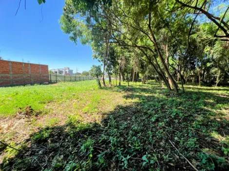 imagem 1 - Terreno - Lote Urbano imagem 1 - Terreno - Lote Urbano