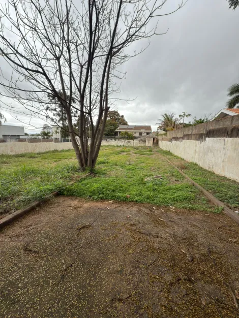 imagem 2 - Terreno - Lote Urbano imagem 2 - Terreno - Lote Urbano