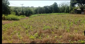 imagem 3 - Terreno - Lote Urbano imagem 3 - Terreno - Lote Urbano