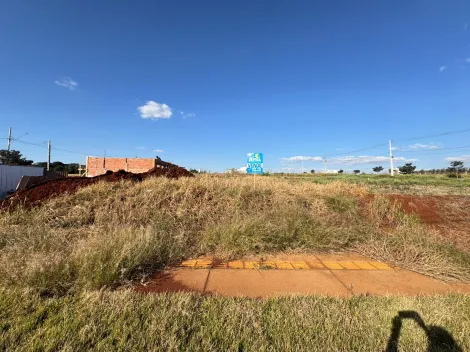 imagem 1 - Terreno - Lote Urbano imagem 1 - Terreno - Lote Urbano