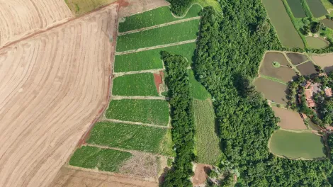 imagem 2 - Rural - Chácara sem Casa imagem 2 - Rural - Chácara sem Casa